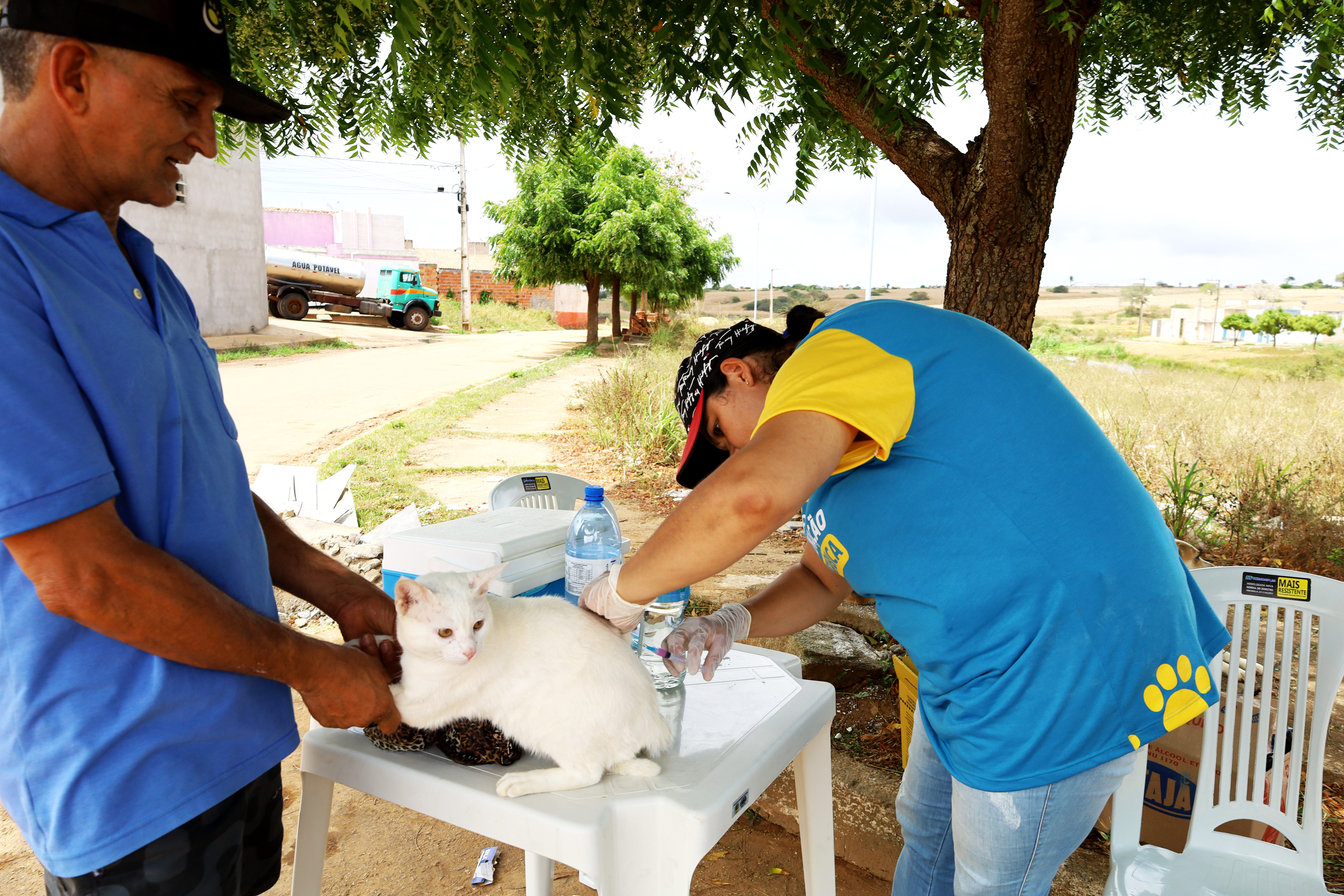 Prefeitura imuniza mais de 750 cães e gatos contra a raiva