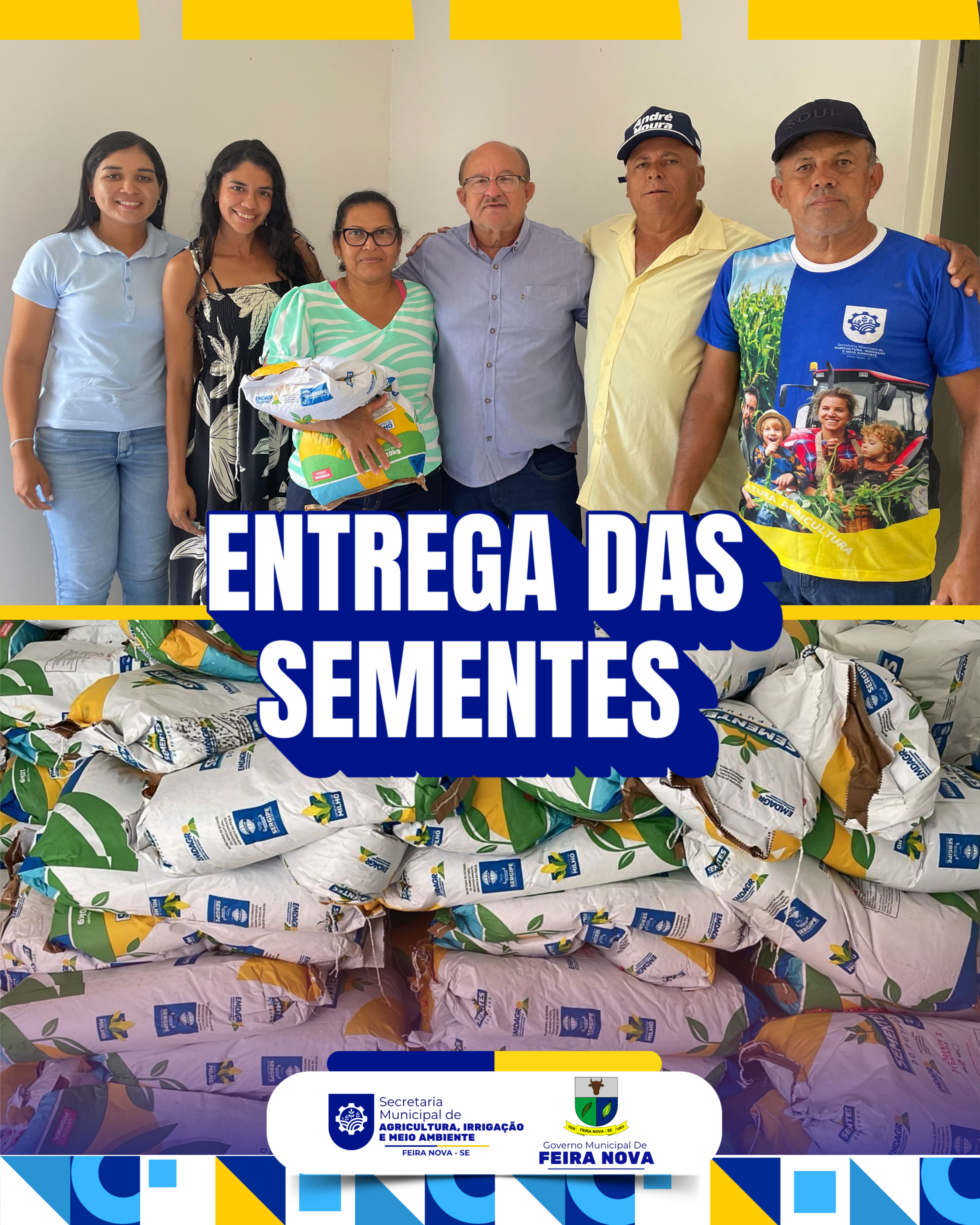 Sementes de milho para os nossos agricultores