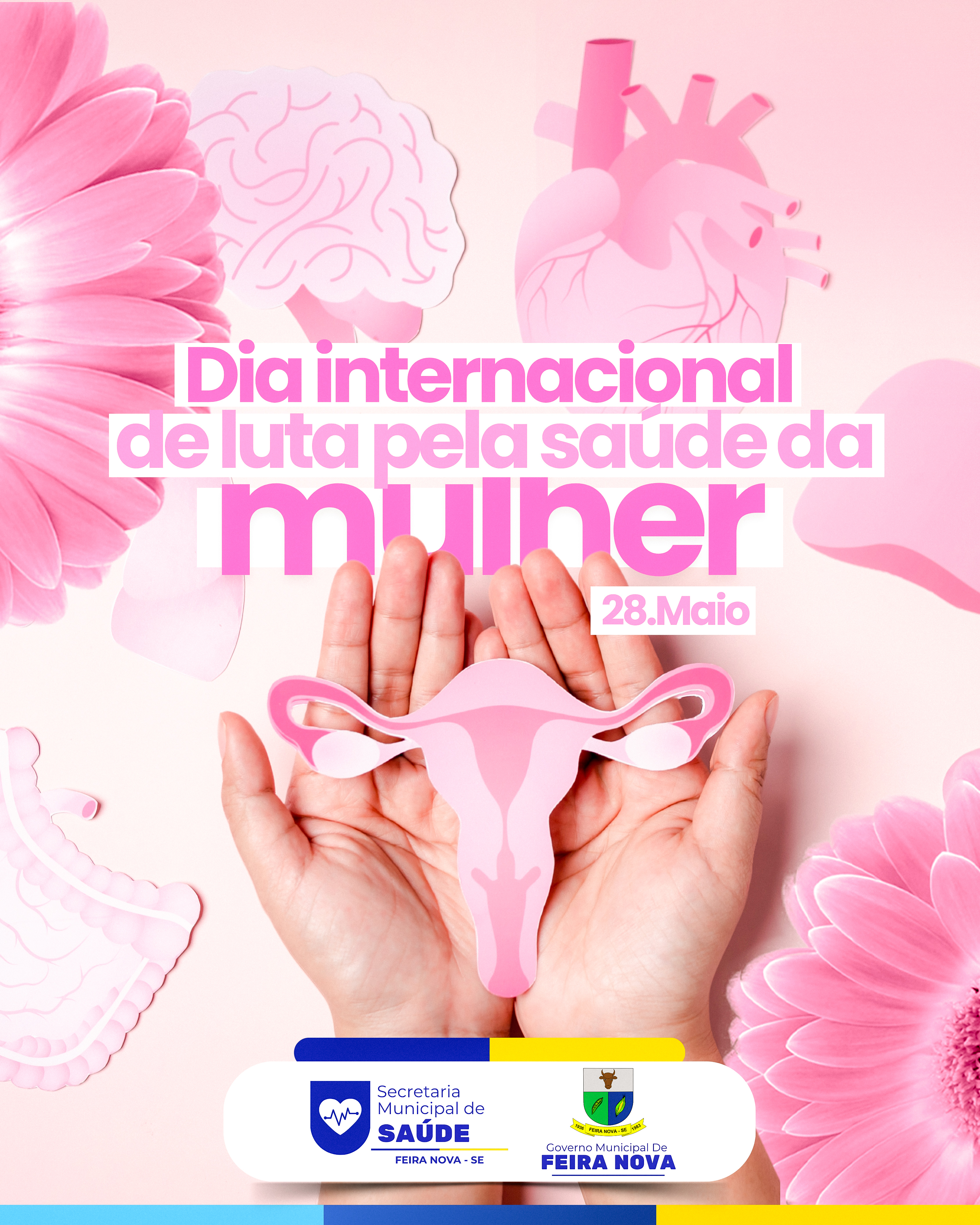 Dia Internacional de Luta Pela Saúde da Mulher – 28 de maio