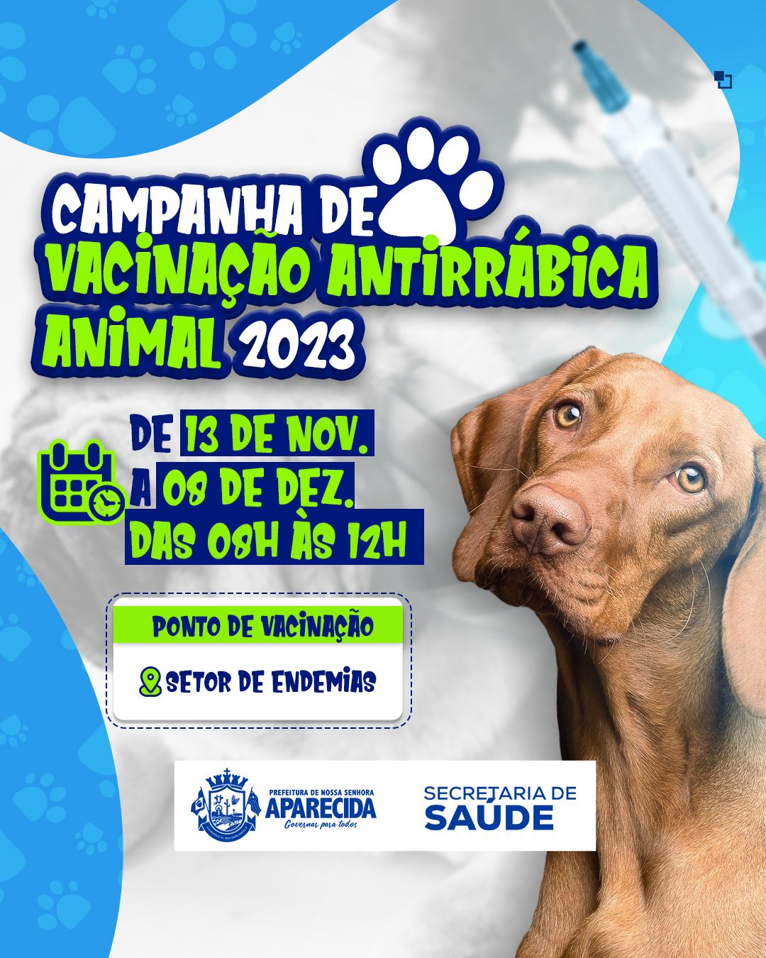 Campanha Vacinação Antirrábica Animal 2023