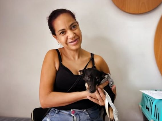 Boquim fortalece políticas públicas de proteção animal com castrações gratuitas e atendimentos veterinários
