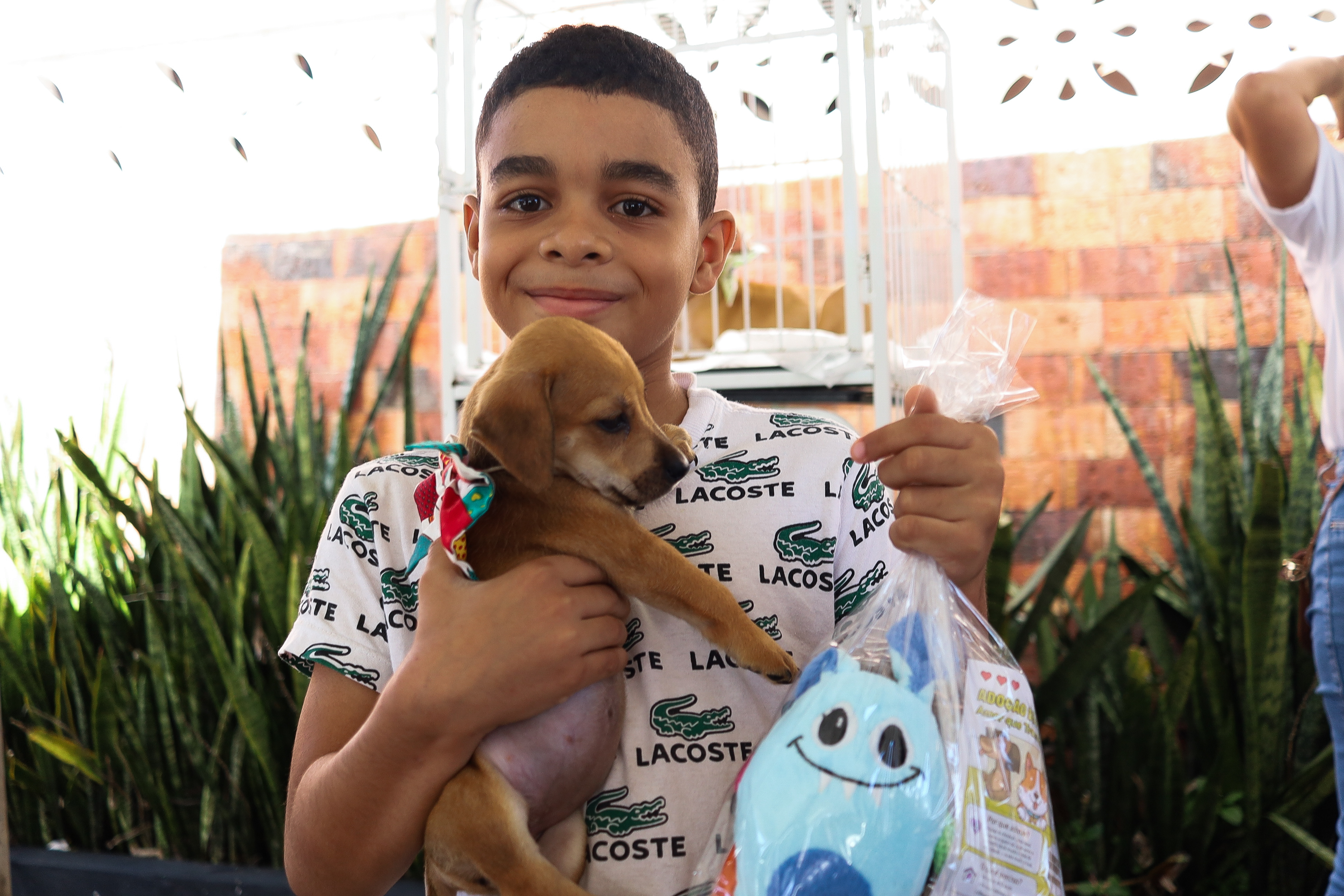 1ª Feira de Adoção de Animais: Um dia de amor, empatia e novos começos