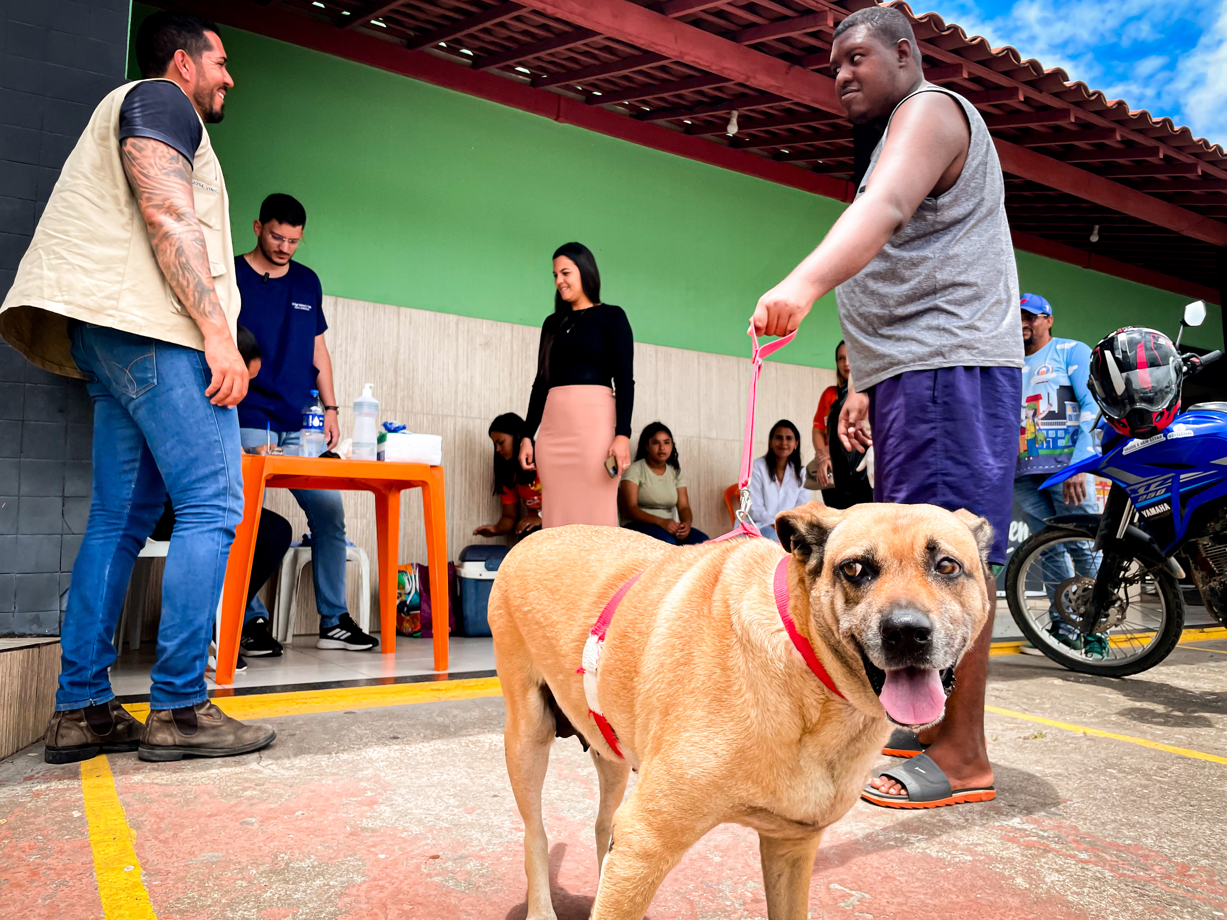 Boquim realiza Dia D da Vacinação Antirrábica neste sábado