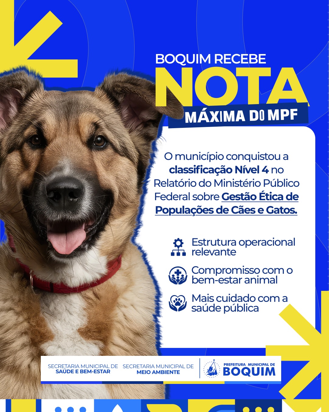 Boquim recebe nota máxima no Ministério Público Federal no cuidado com os animais