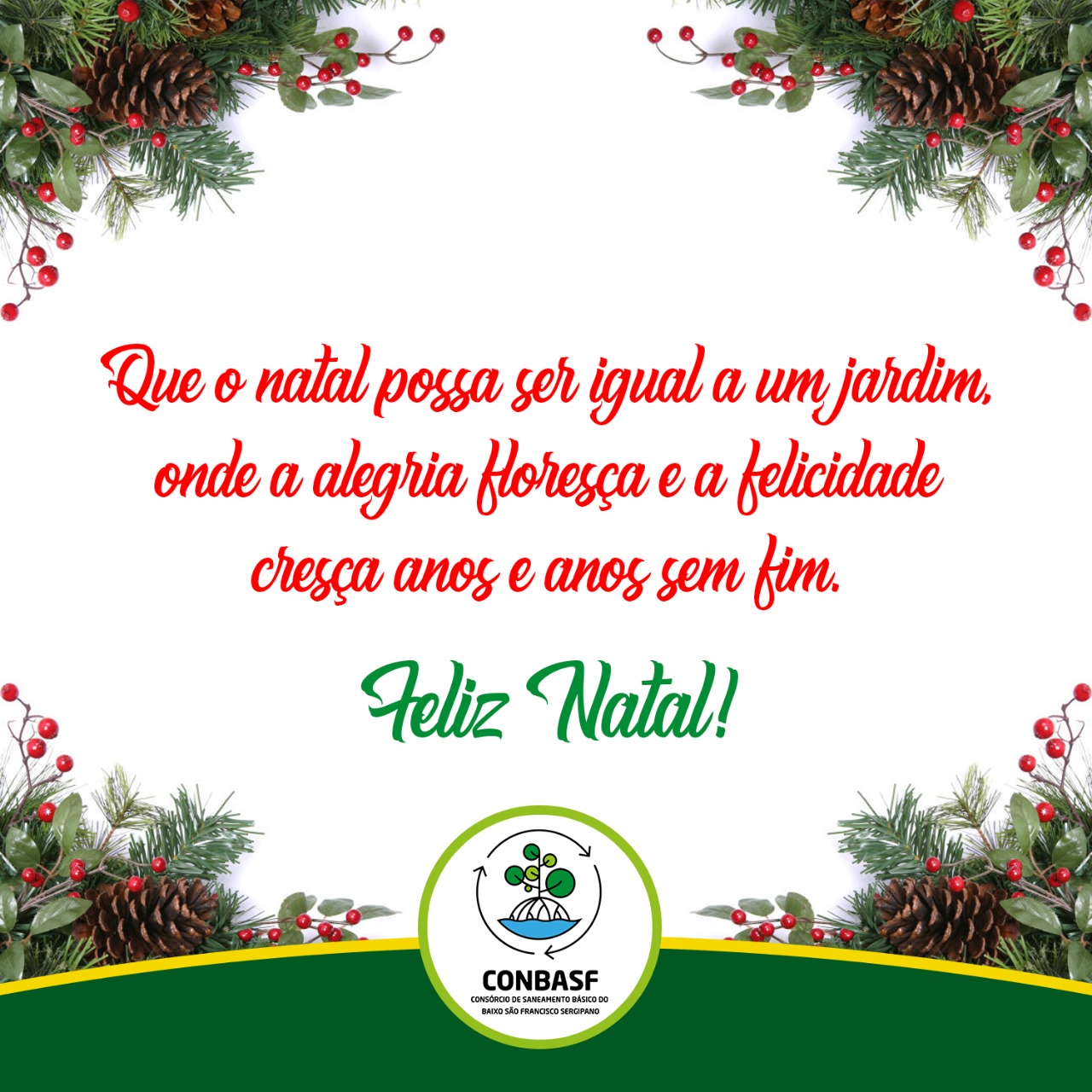 CONBASF DESEJA A TODOS FELIZ NATAL