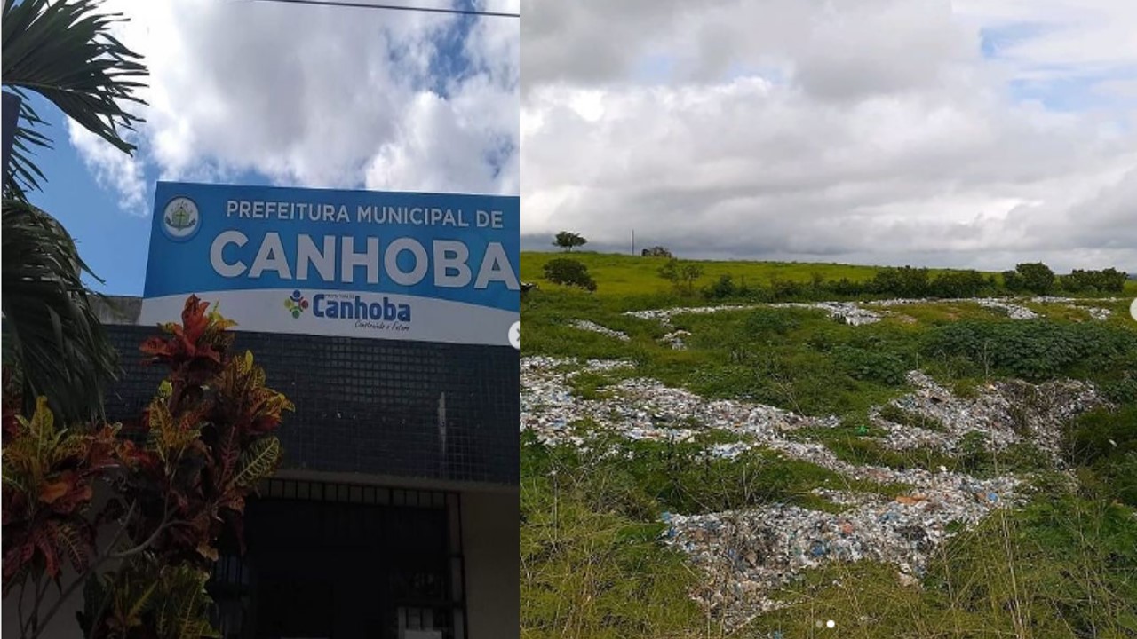 CONBASF realiza visita ao município de Canhoba para tratar sobre Plano de Recuperação de Áreas Degradadas