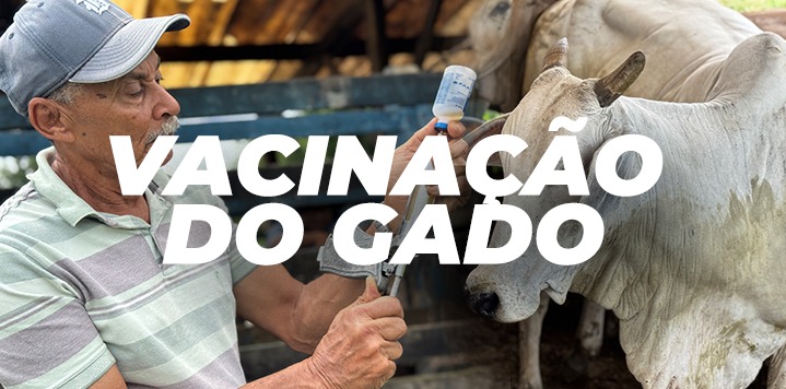 VACINAÇÃO DE ANIMAIS