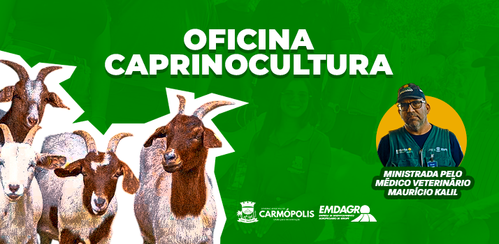 CURSO