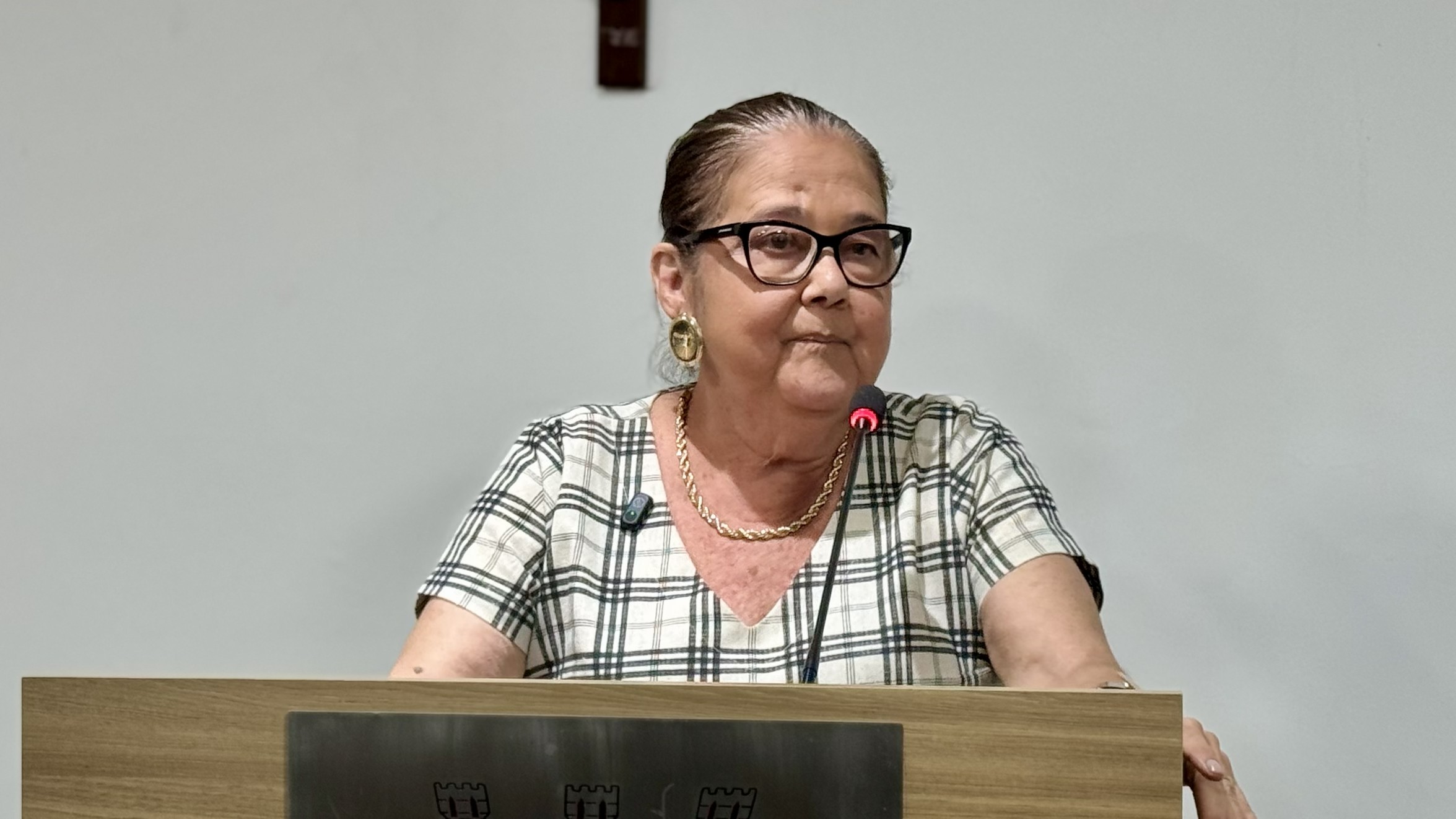 Vereadora Nonó Fonseca cobra transparência em habitação social