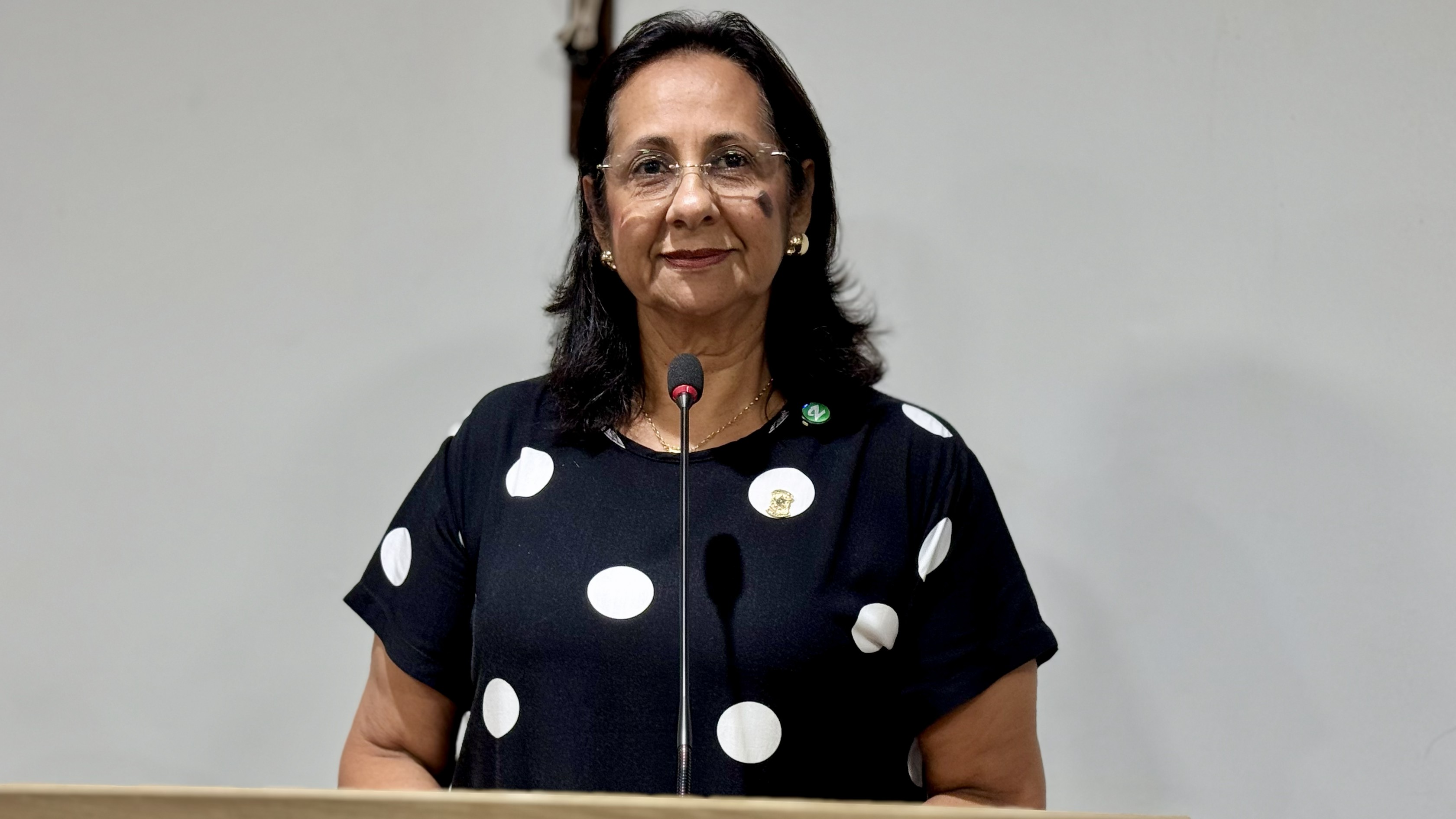 Presidente Imara Lima apresenta moção de pesar pelo falecimento de ex-vereador e detalha funcionamento da Câmara no recesso