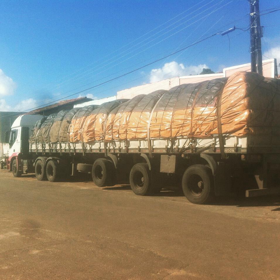 RAÇÃO ANIMAL COMEÇA A SER DISTRIBUÍDA NO MUNICÍPIO.