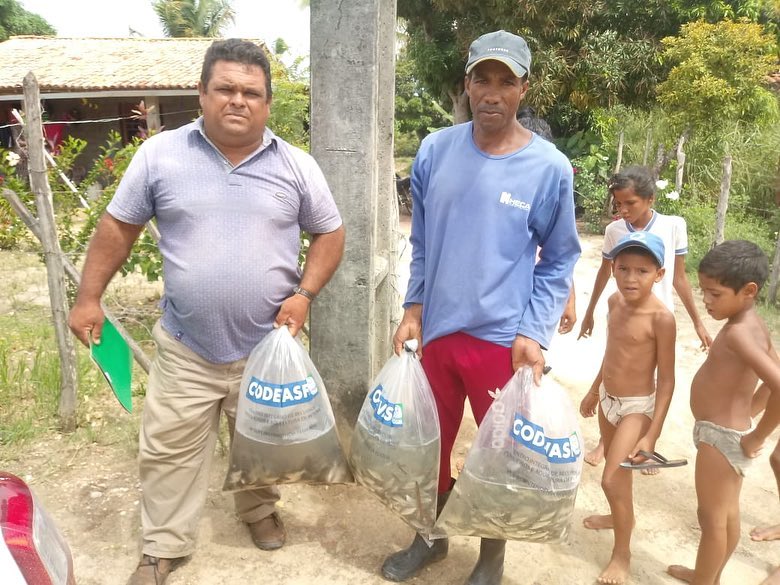 Entrega de vinte e cinco mil alevinos para 11 produtores do município.